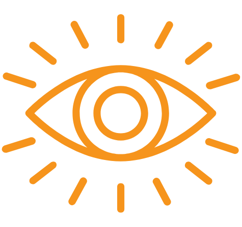 Our Vision