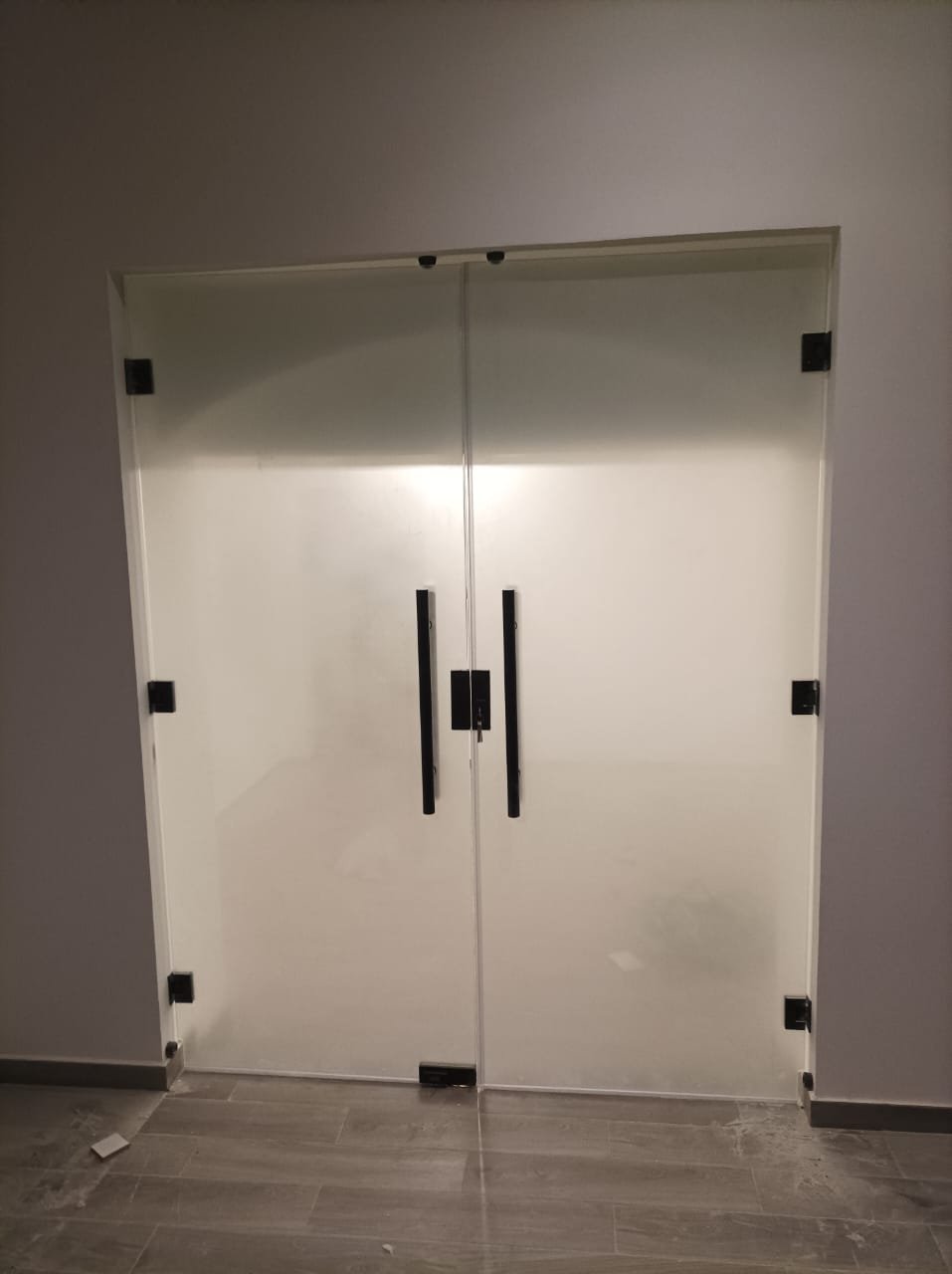 Glass Doors project image 9