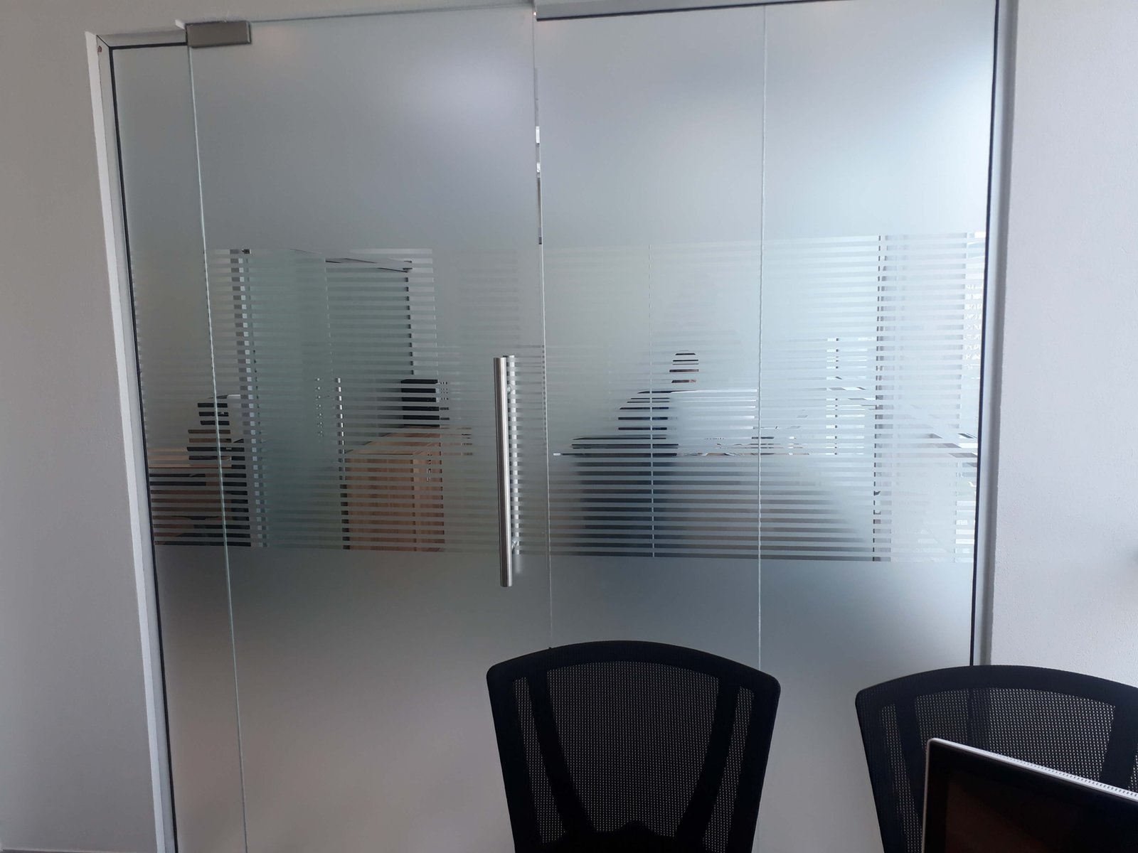 Glass Doors project image 3